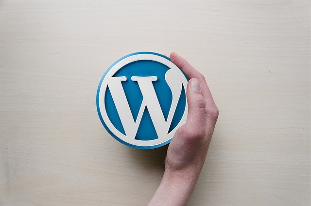 image showing WordPress logo with hand